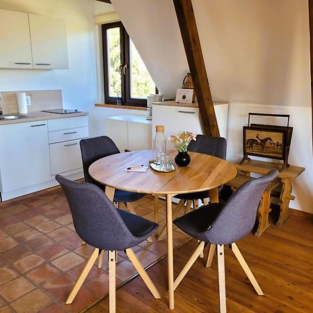 Landhaus am Kurpark Baden Bagian luar foto