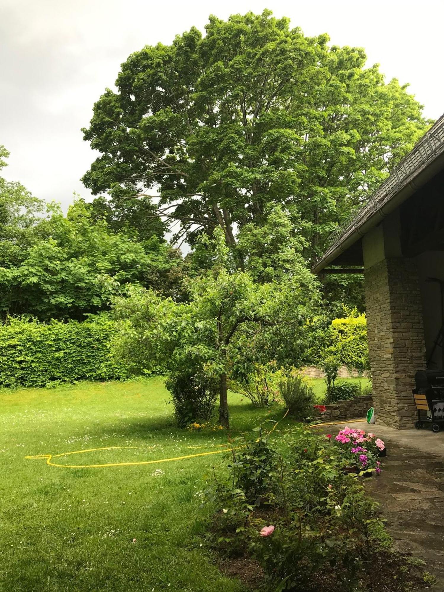 Landhaus am Kurpark Baden Bagian luar foto
