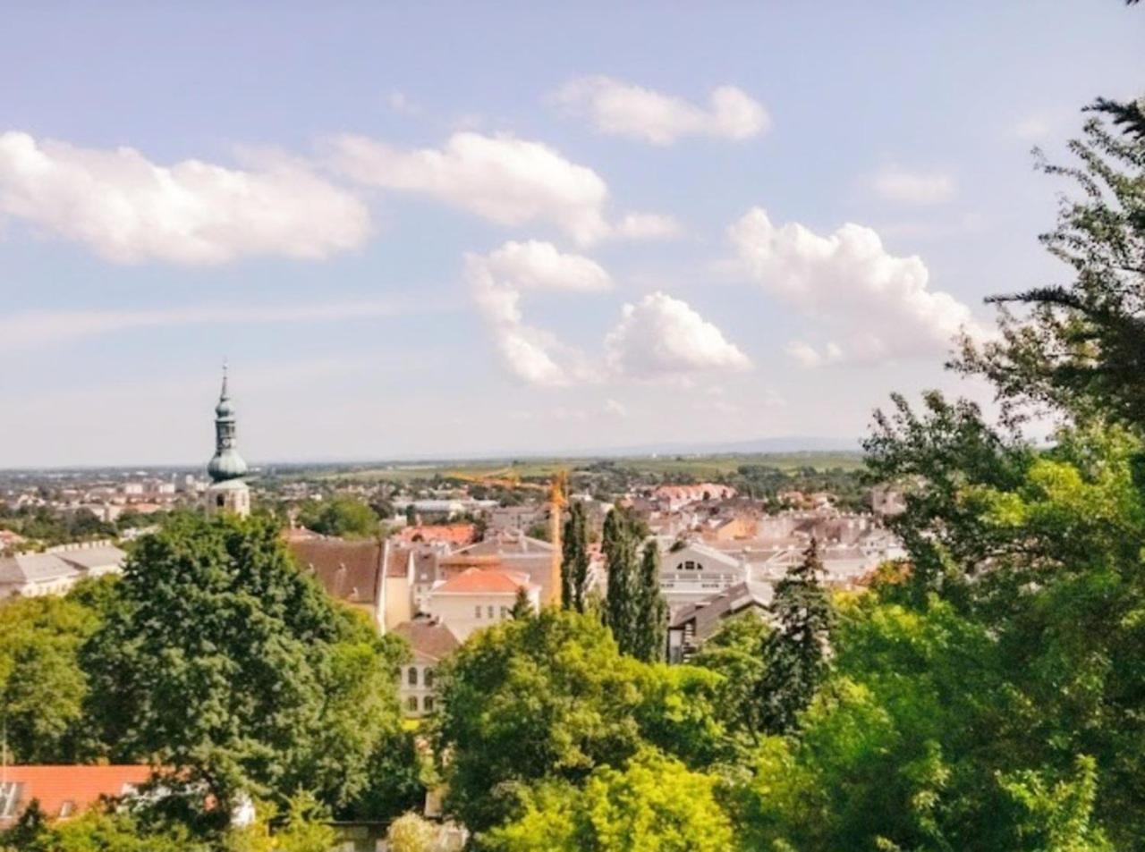 Landhaus am Kurpark Apartment Baden Bagian luar foto